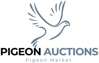 Aukcie poštových holubov
